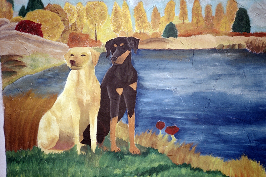 http://www.florianthein.de/files/gimgs/th-25_two-dogs-near-the-lake_22690450479_o.jpg